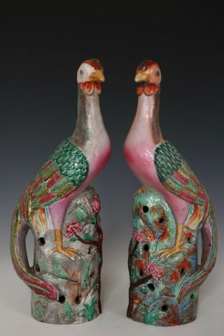 Chinese Pair Famille Rose Porcelain Peacock Statues