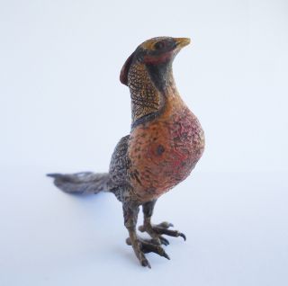Vienna Austria Antique Cold Painted Bronze X Large Peacock Peafowl Rare