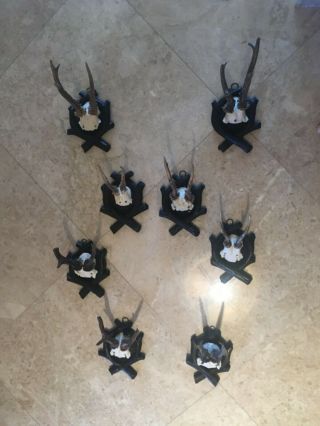 8 Antlers On Wooden Hand Carved Black Forest Plaque Stag Horn Taxidermy