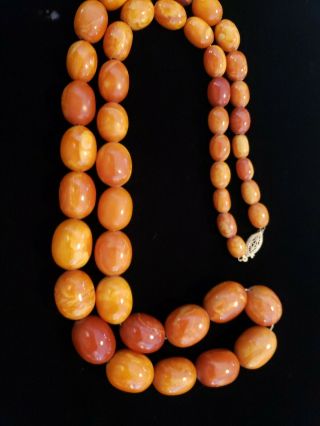 Vintage Baltic Amber Egg Yolk Butterscotch Olive Shape Bead 111 Grams Necklace