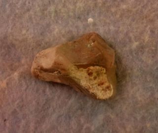 Rare Neolithic Art.  Technique Vanished.  More Than 10 Images On A Tiny Stone.