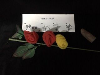 Floral Fantasy,  Vintage Tenyo Magic Trick,  Rare Collectable