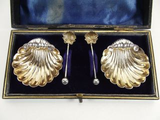 Set Of Antique Silver Open Salts & Spoons / Birmingham 1903 / Box R74/2