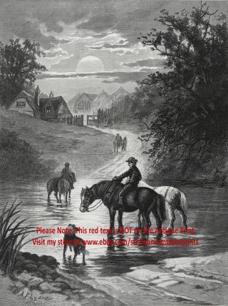 Horse Draft Cart Horses & Collie At End Of Work Day,  Large 1890s Antique Print