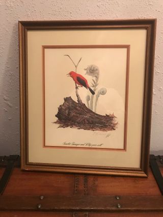 Guy Coheleach Scarlet Tanager Whip - Poor - Will Birds Signed Mat Famous Art Work